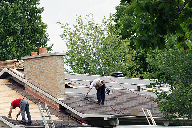 Best Roof Repair Services  in Inez, TX