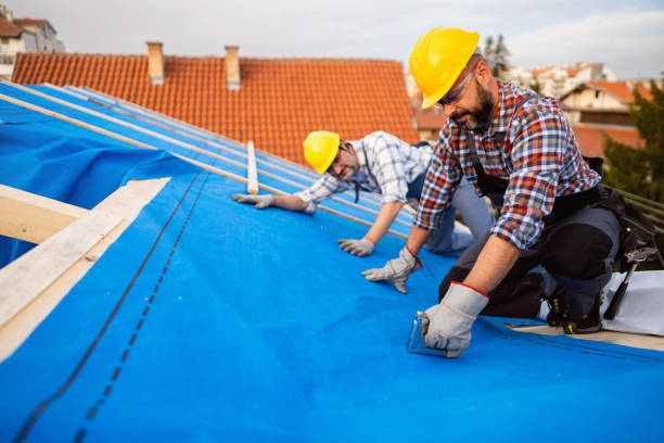 Best Sealant for Roof  in Inez, TX