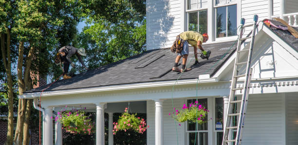 Best Roof Gutter Cleaning  in Inez, TX