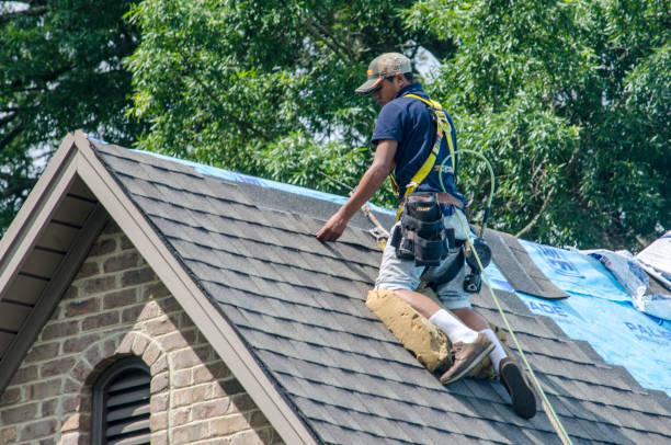 Best Flat Roof Repair Services  in Inez, TX